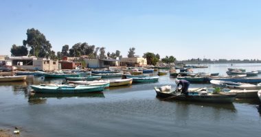 صور.. بحيرة التمساح أهم مناطق المجرى الملاحى لقناة السويس بمساحة 1900 فدان
