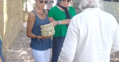 صور .. وفود سياحية تزور آثار تل العمارنة فى المنيا