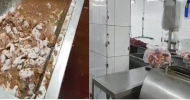 ضبط 3,760 طن لحوم وفراخ غير صالحة للاستخدام بأحد مطاعم مدينة نصر