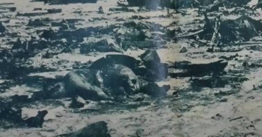 69 عاما على طائرة وادى النطرون المنكوبة.. كاميليا ومهراجا هندى أشهر ضحاياها