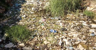 أهالى ترعة عزب بالبحيرة يشكون عدم تطهيرها وتعرض الأهالى للأمراض والأوبئة