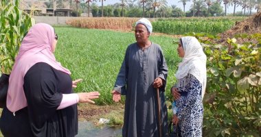 البيئة تنظم حملات توعية للمزارعين بالقليوبية استعدادًا لموسم قش الأرز
