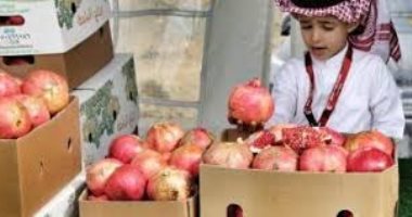 غداً.. إفتتاح فعاليات مهرجان الرمان الوطنى الثامن بالسعودية