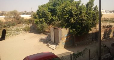 طريق مظلم وغير ممهد.. شكوى سكان منطقة سيبكو الجديد بالسلام