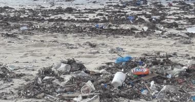 تجمع القمامة على شاطئ النخيل والزراعيين.. شكوى "حازم" من الاسكندرية