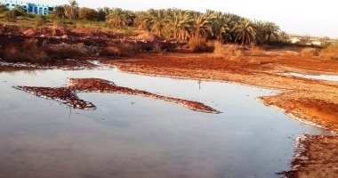 تسربات مياه الصرف بالوادى الجديد تلتهم أجود الأراضى الزراعية.. صور
