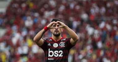 أفضل أهداف الأسبوع في ملاعب العالم.. فيديو