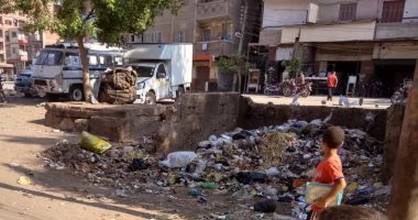 اضبط مخالفة..القمامة تحاصر شوارع قرية مشتهر بطوخ.. صور