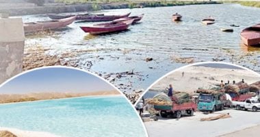 7 موارد لجهاز حماية وتنمية الثروة السمكية.. واستثمار البحيرات الأبرز