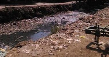 القمامة ومياه الصرف الصحى تحاصران سكان قرية بكفر الزيات.. صور 