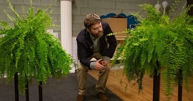 اعرف أكتر عن فيلم الكوميديا Between Two Ferns: The Movie
