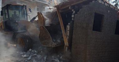 إزالة 47 حالة تعدى على الأراضى الزراعية بمدن الجيزة.. صور