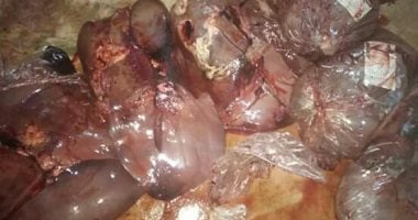 ضبط مخزن لحوم غير صالحة للاستهلاك الآدمى بالمنوفية