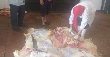 صور.. بيطرى الوادى الجديد ينفذ عملية إعدام كامل لعجل بقرى مصاب بداء الصفراء