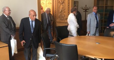 قاضية بالمحكمة الإدارية بألمانيا: المحكمة الدستورية رمز لاستقلال القضاء