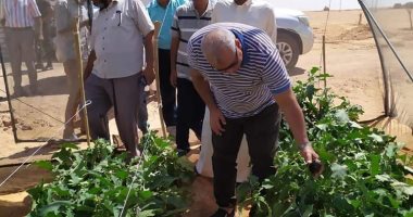 محافظ الوادى الجديد يتفقد المشروعات الزراعية والإنتاجية بالداخلة .. صور 