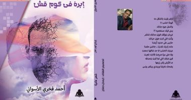 هيئة الكتاب" تطرح "إبرة في كوم قش" لفخري الأسواني 