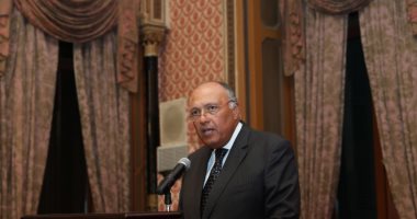 وزير الخارجية يتوجه إلى الجزائر لتسيلم رسالة من السيسي إلى نظيره تبون 