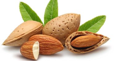 اللوز أكلة صحية وعلاج ووقاية من الأمراض.. اعرف فوائده