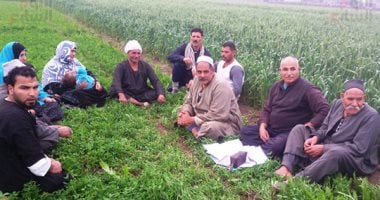 فى عيد الفلاح الـ67.. يا مصر ابنك وابن الأرض علشانا يفلق بفاسه الصخر ويزرعه جنة