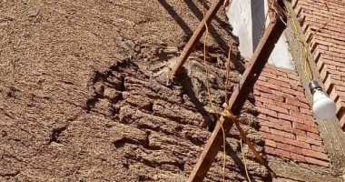 أهالى العمار بالقليوبية يشكون تهالك أسلاك الكهرباء ويطالبون بتجديدها
