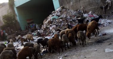 أهالى تقسيم الدفاع المدنى بالبساتين يشكون تراكم القمامة أمام نفق عزبة النصر