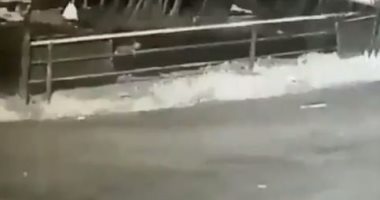 فيديو.. العثور على طفلة رضيعة فى غابة مظلمة بالهند