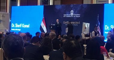 رئيس الغرفة الأمريكية: 4.4% مساهمة قطاع النقل فى الدخل القومي 
