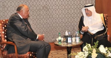 وزير الخارجية يبحث مع نظيره السعودى تطورات الأوضاع في المنطقة