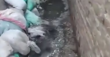 شكوى من انتشار مياه الصرف الصحى بشوارع قرية الباجور بالمنوفية