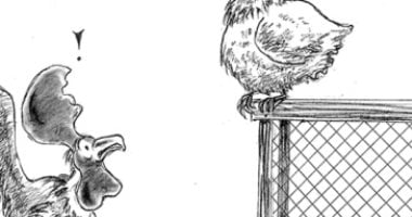 كاريكاتير الصحف الاماراتية .. محاولة دجاجة تقليد صياح الديوك فى اشارة للديك الفرنسى "موريس" 