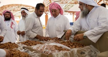 صور.. دخول 115مركبة إلى مزاد تمور الأحساء بالسعودية وتصاعد فى الكميات الواردة
