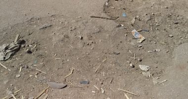 قارئ يطالب برصف طريق قرية دمتيوة بمدينة دمنهور