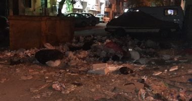 قارئ يشكو من انتشار القمامة بأحد شوارع الدقى