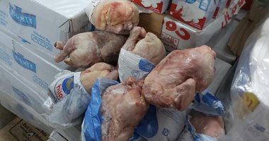 صور.. ضبط طن ونصف لحوم ودواجن فاسد بشبرا الخيمة