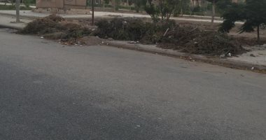 أهالى النرجس بالتجمع الخامس يشكون تراكم القمامة