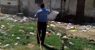 صور.. مكافحة البعوض والحشرات بحى الجناين وعتاقة ببورسعيد