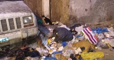 سيارة مركونة منذ 5 سنوات تحول شارع بمنطقة جليم لمقلب قمامة 
