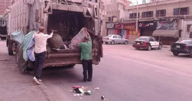 صور.. صيانة أعمدة الإنارة وتقليم أشجار المدارس بالمنصورة استعدادا للدراسة