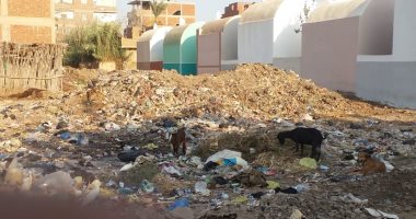 قارئ يشكو من انتشار القمامة بقرية أبو سنيطة فى المنوفية