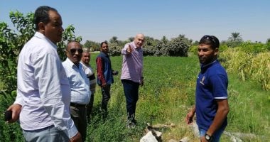 صور.. لجنة معاينة تقنين أراضى أملاك الدولة تعاين 17 موقع زراعة ومساكن بالطود 
