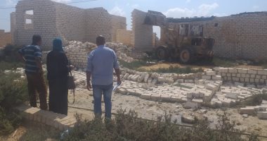 صور.. إزالة التعديات على أراضى الدولة ببرج العرب غرب الإسكندرية