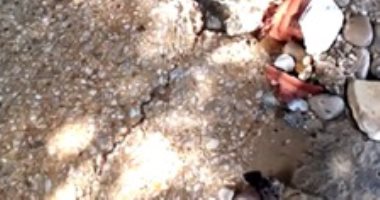 شكوى من كسر ماسورة مياه فى مدينة العبور