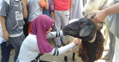 قافلة بيطرية لجامعتى حلوان ومدينة السادات إلى مركز أطفيح.. صور
