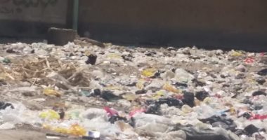شكوى من تحول أرض فضاء بجوار جامعة المنيا لمقلب قمامة ومأوى للكلاب الضالة