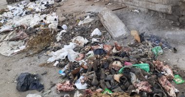 تراكم للقمامة عند مسجد الرواس.. شكوى سكان السيدة زينب