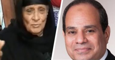 ثورة المصريين ضد بذاءات وأكاذيب مقاول الأنفار.. مواطنون ومشاهير وفنانون يجددون دعمهم للرئيس السيسى بمقاطع فيديوهات عبر منصات السوشيال ميديا.. وسيدة مصرية تتغزل فى الرئيس بقصيدة للدولة المصرية