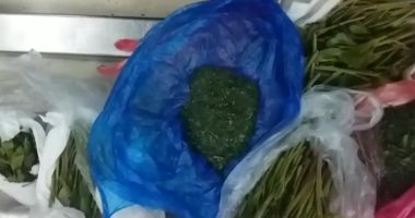 ضبط راكب بمطار القاهرة حاول تهريب كمية من نبات "القات" المخدر 