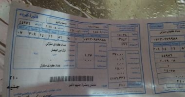 شركات توزيع الكهرباء تتلقى 7.9 ملايين شكوى فنية و تجارية على 121