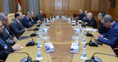 "العصار" يبحث توطين تكنولوجيا الطاقة الشمسية (CSP) مع عالم مصرى بالخارج